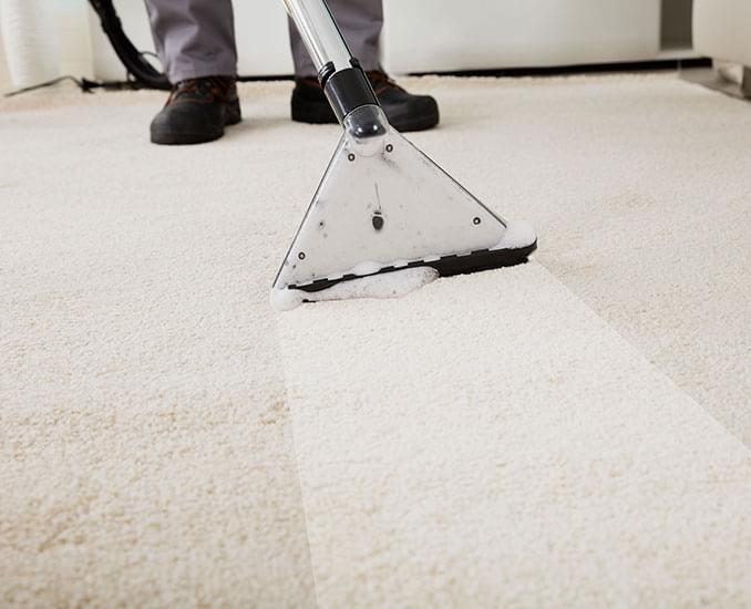remove carpet stains mckinney tx